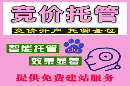 SEM广告投放的预算分配与效果评估——以某企业为例